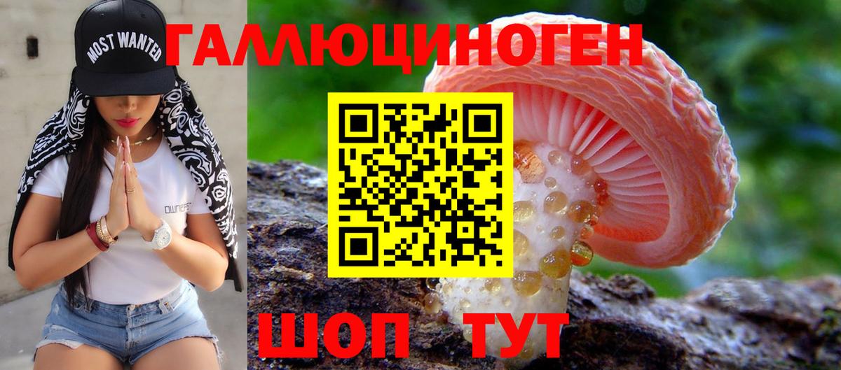 Галлюциногенные грибы Cubensis  Галлюциногенные грибы GOLDEN TEACHER  Вход с VPN  Новошахтинск 