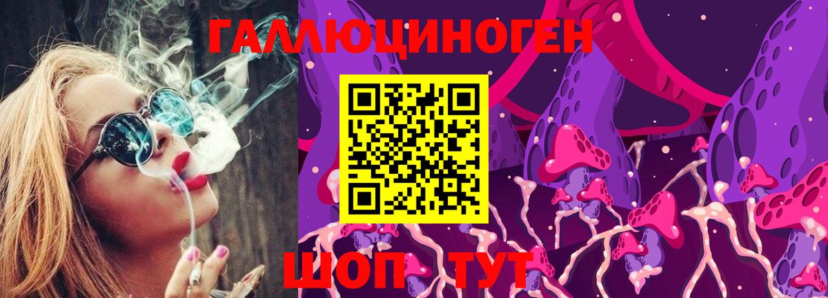 Псилоцибиновые грибы мицелий Новошахтинск
